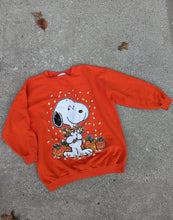 Load image into Gallery viewer, Snoopy Halloween Adult Sweatshirt L/XL
