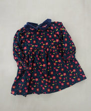 Load image into Gallery viewer, Gymboree Floral Dress 2-3y
